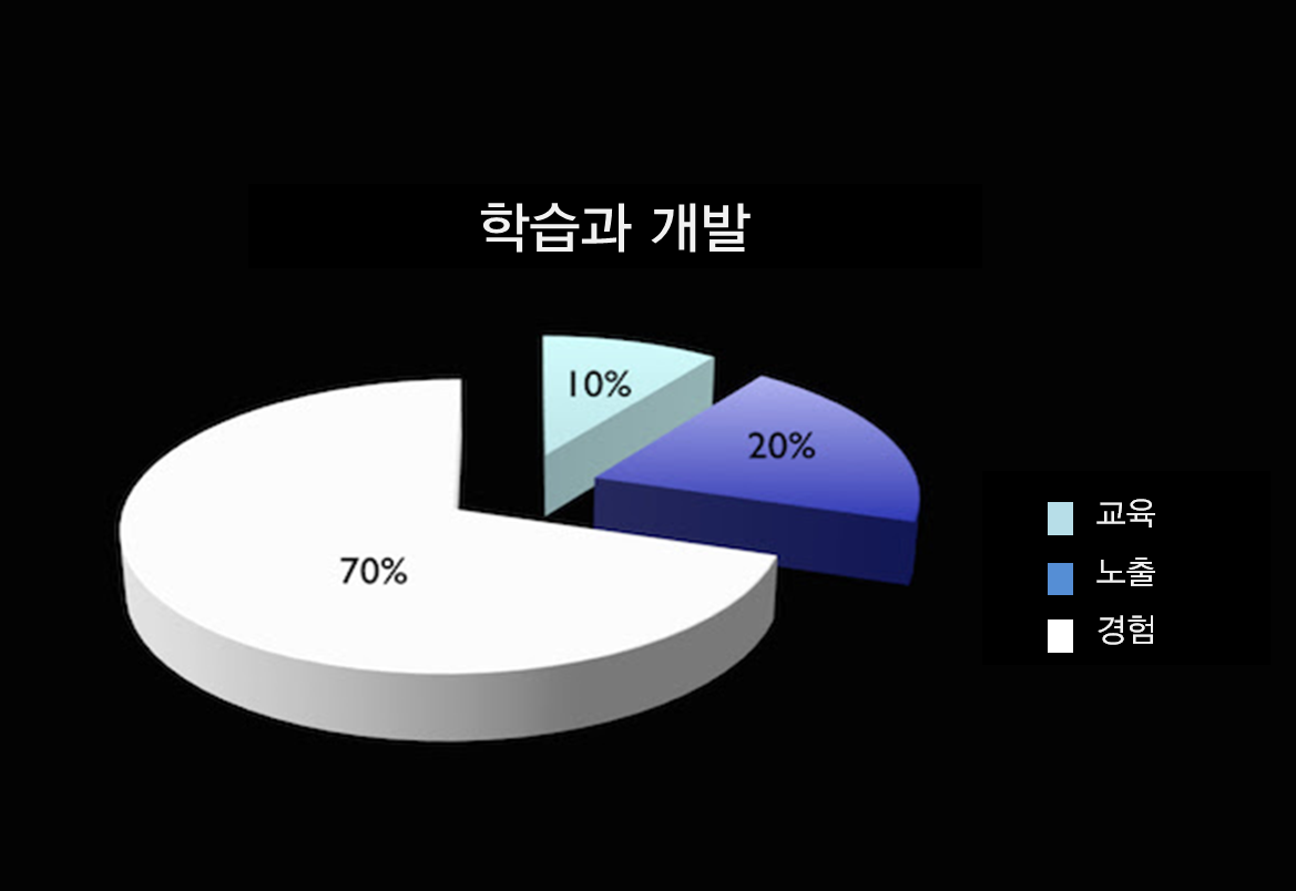 멘토링의 변화, 학습과 개발, 직장 멘토링 교육